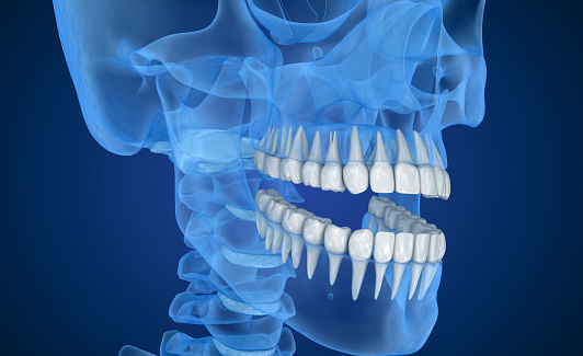 3d image of a skull and teeth Surprise Oral & Implant Surgery in Surprise, AZ